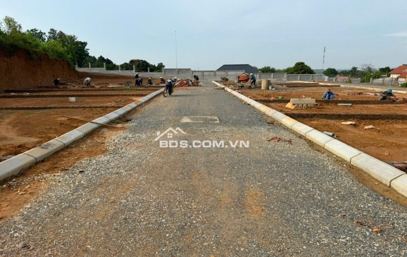 BÁN ĐẤT VỊ TRÍ SIÊU ĐẸP GIÁ F0 TẠI TAM NÔNG PHÚ THỌ TỪ 8TR/m2